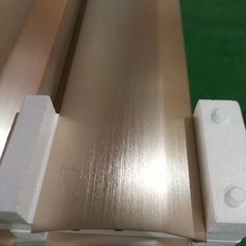 Brushed Bright Anodized CNC Machining Parts Champagne Aluminum Extrusion Panel for Air Conditioner
