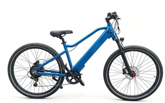 Beach Electric Bike, Fat Tire E-Bike, Off Road Electric Bicycle, Outdoor Adventure Bike, Long Range E-Bike