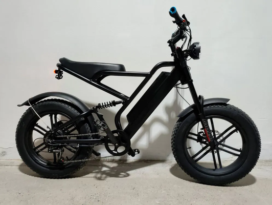 Beach Electric Bike, Fat Tire E-Bike, Off Road Electric Bicycle, Outdoor Adventure Bike, Long Range E-Bike