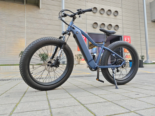 Beach Electric Bike, Fat Tire E-Bike, Off Road Electric Bicycle, Outdoor Adventure Bike, Long Range E-Bike